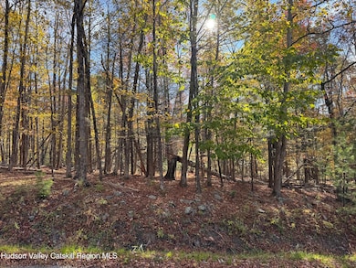 TBD Cross Patch Rd, Willow, NY 12495 - photo 2