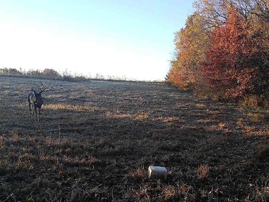 000 C Hwy, Albany, MO 64402 - photo 5