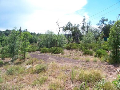 Apache Trail Driveway