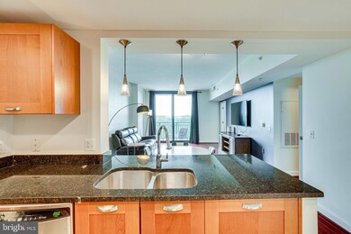 Midtown Alexandria Station Condominiums unit 1309, Alexandria, VA 22303 - photo 5