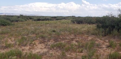 TBD Tbd 4 Horizon City Estates, El Paso, TX 79928 - photo 3