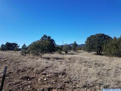 5103 Little Walnut Rd, Silver City, NM 88061 - photo 3