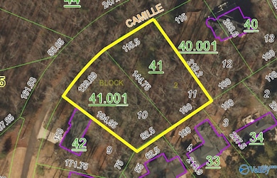 11 Camille Cir, Gadsden, AL 35901 - photo 2