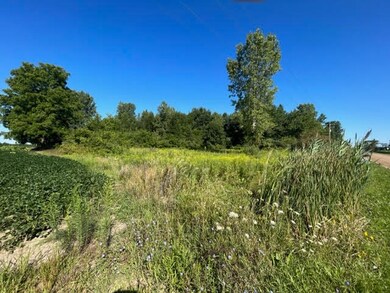 3780 14th St, Wayland, MI 49348 - photo 4