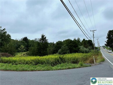 0 Mountain View Dr unit 769079, Lehigh Twp., PA 18038 - photo 4