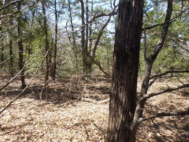 View of undeveloped land