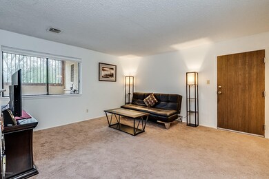 451 Yucca Court-7