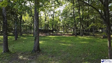 0 State Road S-21-869, Florence, SC 29501 - photo 3