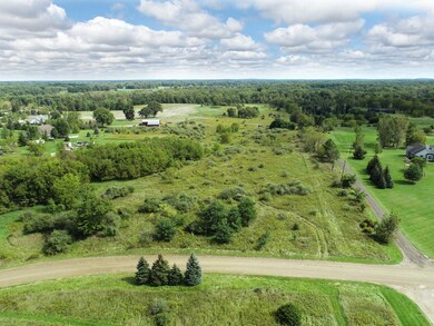 5080 Crandall Rd, Howell, MI 48855 - photo 6