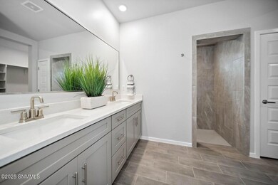 142 Pinos Altos, Santa Teresa, NM 88008 - photo 5