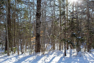 2549 Trout Brook Ln unit 2549, Carrabassett Valley, ME 04947 - photo 6