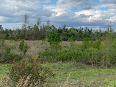 12 Crest Line Dr, Upatoi, GA 31829 - photo 6