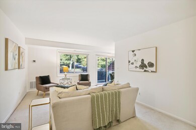 6441 Richmond Hwy unit 204, Alexandria, VA 22306 - photo 6