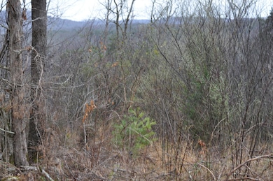 Lot 35 1 Pl Coyler Rd, Somerset, KY 42503 - photo 7