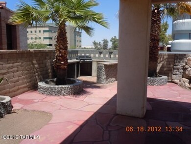 back yard 1