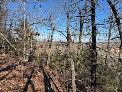 60A Tablerock Rd, Evening Shade, AR 72532 - photo 3