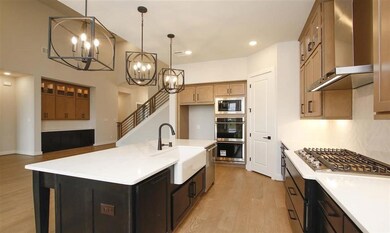 29814AutumnMapleCt232E0006
