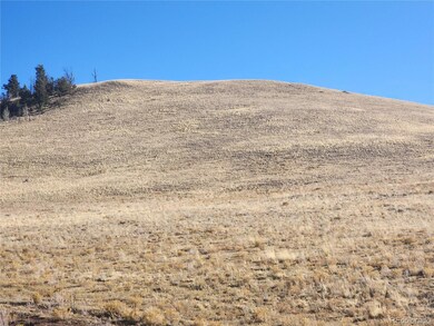 0 Coweta Trail unit 1499 REC3242171, Hartsel, CO 80449 - photo 2