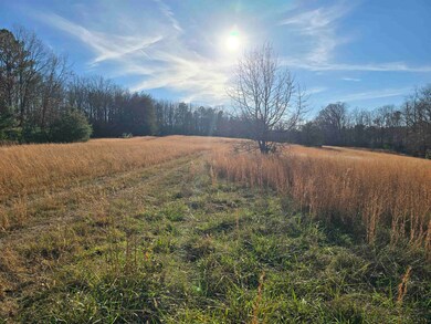 Tract 4 Green River Rd, Gaffney, SC 29341 - photo 6