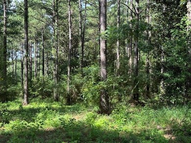 273 Edgar Holmes Rd, Tylertown, MS 39667 - photo 4