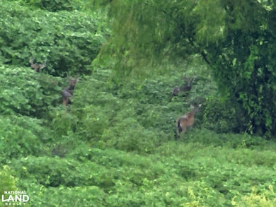 201 Hodge Rd, Tallulah, LA 71336 - photo 2