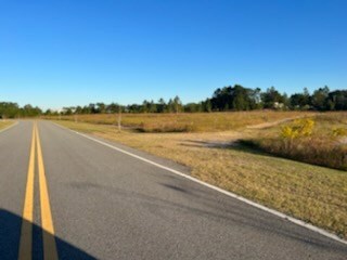 00 Peterson Ave unit n/a, Douglas, GA 31533 - photo 2