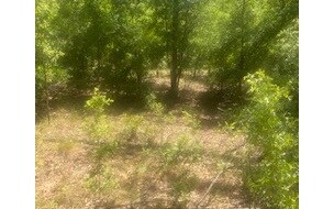 0 SW Briar Patch Terra unit 107511, Fort White, FL 32038 - photo 4