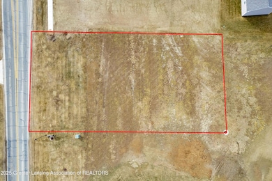 Lot 8 N Wright Rd, Fowler, MI 48835 - photo 3