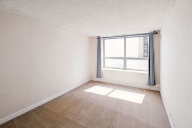 unlisted-address, Chicago, IL 60611 - photo 7