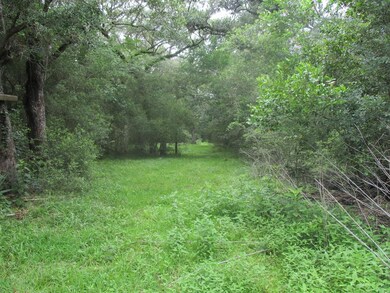 0 Private Road 648 Cedar Lake St unit 76367767, Cedar Lake, TX 77414 - photo 6