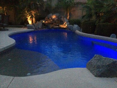backyard photos