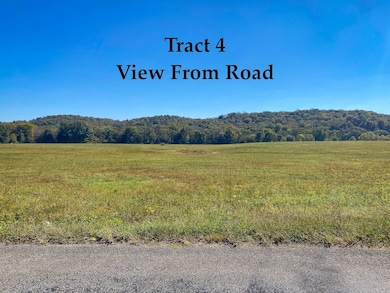 0 Narrows of the Harpeth Rd, Kingston Springs, TN 37082 - photo 5