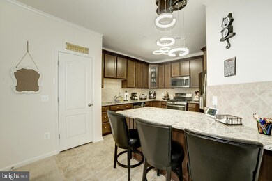 24636 Woolly Mammoth Terrace unit 306, Aldie, VA 20105 - photo 5