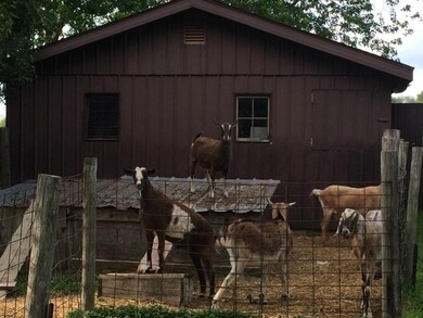 194 Biglow Rd, Brooklyn, WI 53521 - photo 4