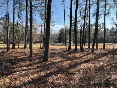 0 Misty Banks Dr unit 605235, Chapin, SC 29036 - photo 7