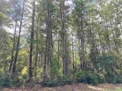 Vacant Sea Urchin Dr, Perry, FL 32348 - photo 3