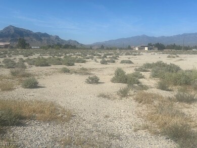 2271 W Carnation Way, Pahrump, NV 89048 - photo 5