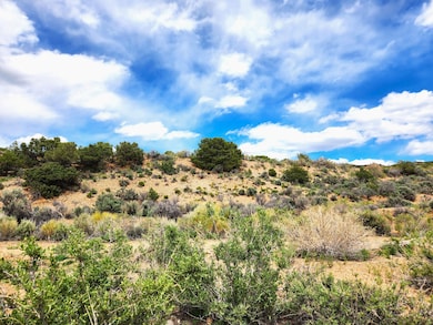 Dodson Rd, Blanca, CO 81123 - photo 5