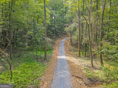 0 Orchard Ln unit 10579458, Talking Rock, GA 30175 - photo 6