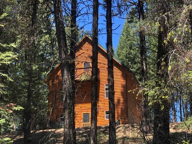 Cabin in the woods