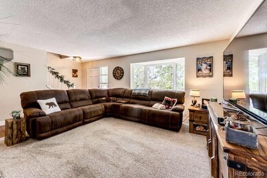 Large Furniture Welcome Here