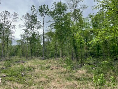 Lot H Easement Off of River Bend Rd, Columbia, MS 39429 - photo 6