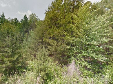 112 Sandy Point Dr, Shelby, NC 28150 - photo 5