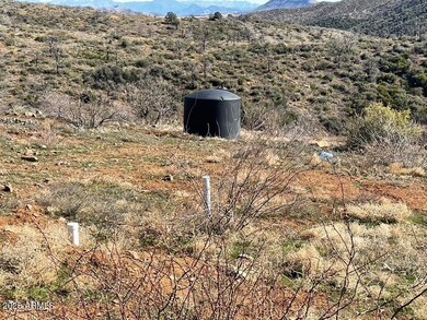 Horseshoe Springs 29