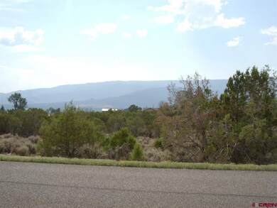 TBD Westridge Rd, Cedaredge, CO 81413 - photo 3