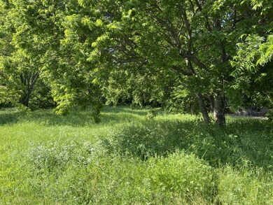 TBD E Miller St, Whitewright, TX 75491 - photo 3