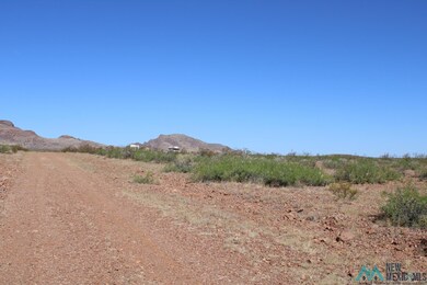 0 Saguaro Rd SE unit 20223081, Deming, NM 88030 - photo 3
