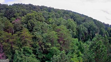 0 River Rd unit 8 18 10544014, Decatur, TN 37322 - photo 4