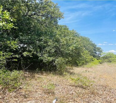 12199 Rolling Oaks Dr, Whitney, TX 76692 - photo 2