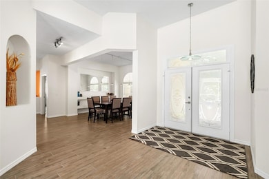 2513 Regal River Rd, Valrico, FL 33596 - photo 6